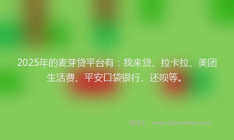 2025年的麦芽贷平台有：我来贷、拉卡拉、美团生活费、平安口袋银行、还呗等。