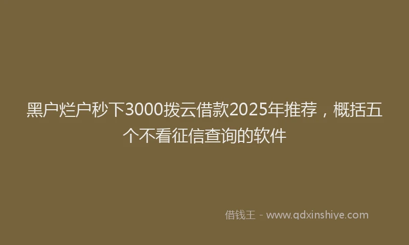 黑户烂户秒下3000拨云借款2025年推荐，概括五个不看征信查询的软件