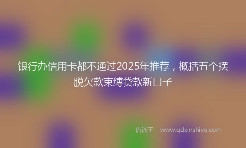 银行办信用卡都不通过2025年推荐，概括五个摆脱欠款束缚贷款新口子