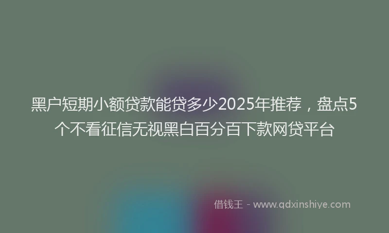 黑户短期小额贷款能贷多少2025年推荐，盘点5个不看征信无视黑白百分百下款网贷平台
