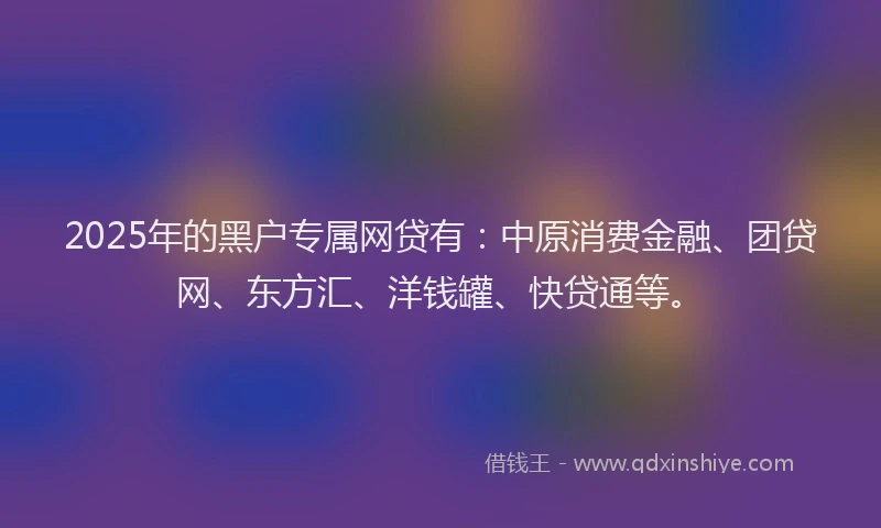 2025年的黑户专属网贷有：中原消费金融、团贷网、东方汇、洋钱罐、快贷通等。