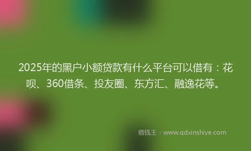 2025年的黑户小额贷款有什么平台可以借有：花呗、360借条、投友圈、东方汇、融逸花等。