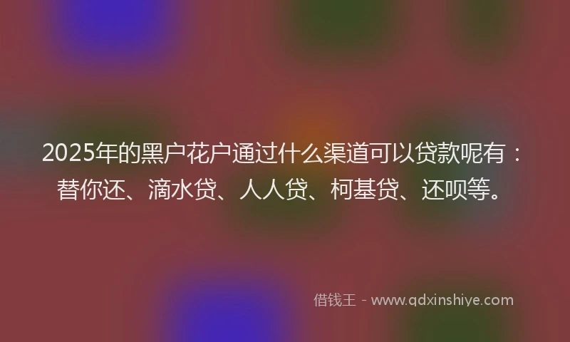2025年的黑户花户通过什么渠道可以贷款呢有：替你还、滴水贷、人人贷、柯基贷、还呗等。