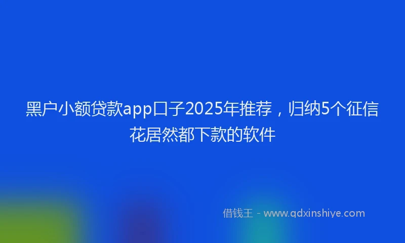 黑户小额贷款app口子2025年推荐，归纳5个征信花居然都下款的软件