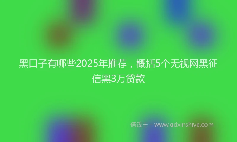 黑口子有哪些2025年推荐，概括5个无视网黑征信黑3万贷款