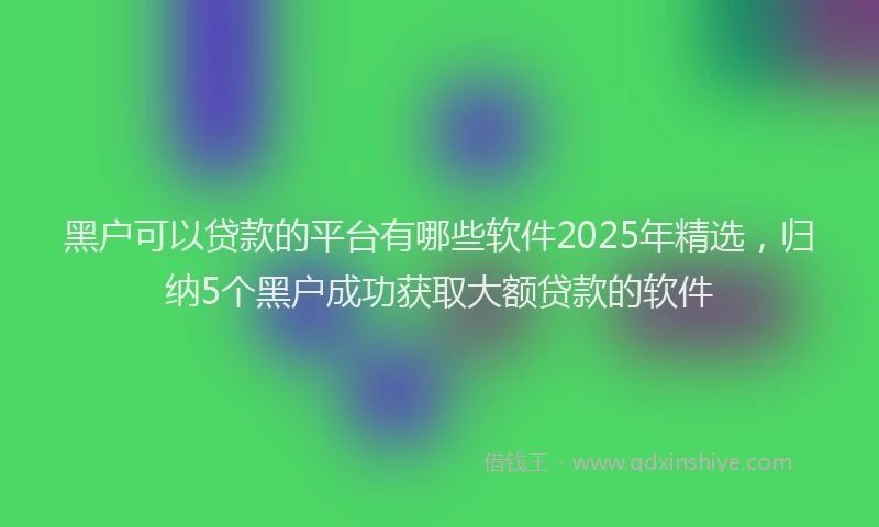 黑户可以贷款的平台有哪些软件2025年精选，归纳5个黑户成功获取大额贷款的软件
