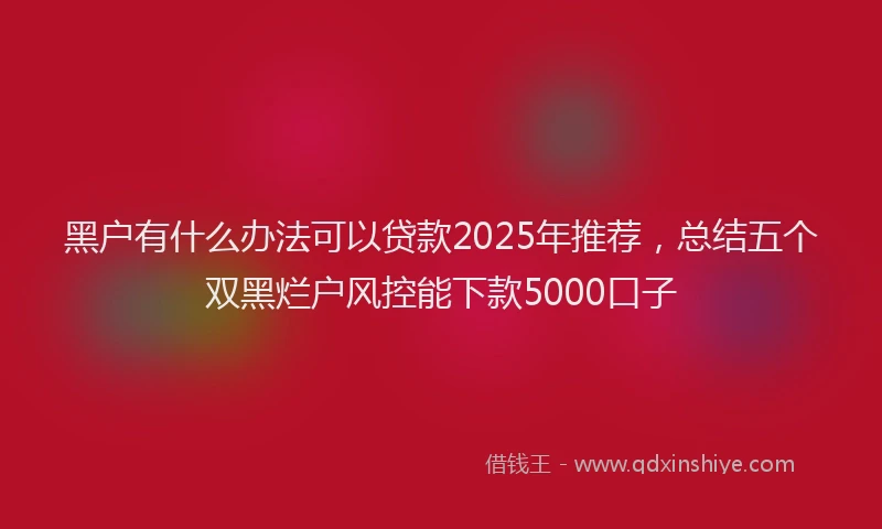 黑户有什么办法可以贷款2025年推荐，总结五个双黑烂户风控能下款5000口子