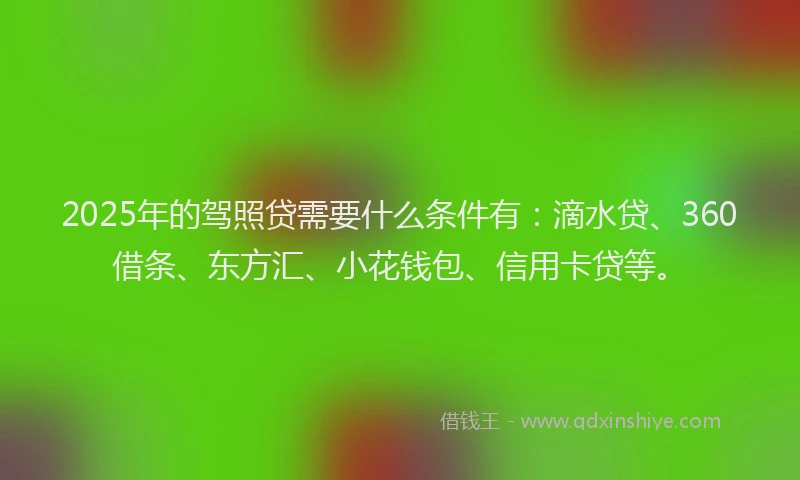 2025年的驾照贷需要什么条件有：滴水贷、360借条、东方汇、小花钱包、信用卡贷等。
