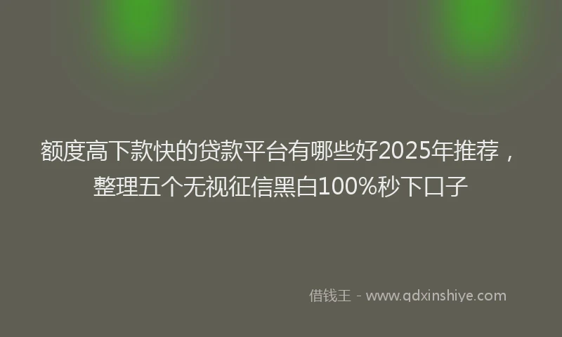 额度高下款快的贷款平台有哪些好2025年推荐，整理五个无视征信黑白100%秒下口子