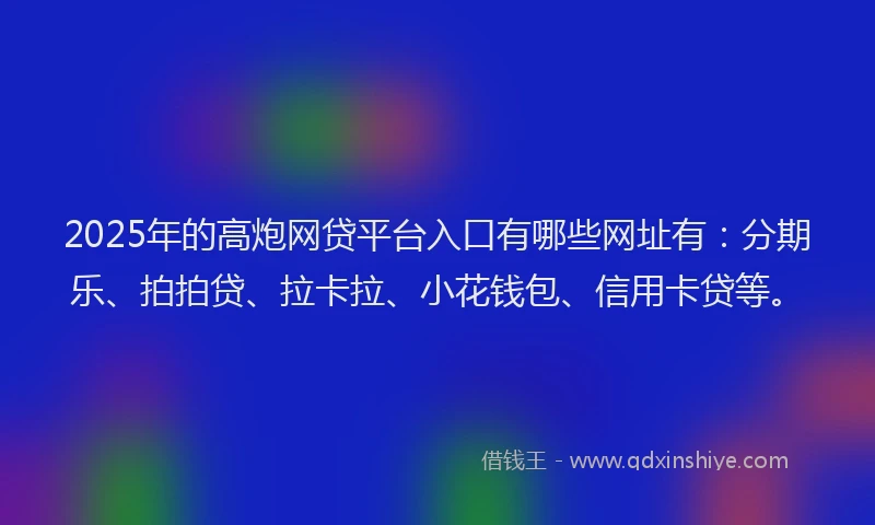 2025年的高炮网贷平台入口有哪些网址有：分期乐、拍拍贷、拉卡拉、小花钱包、信用卡贷等。