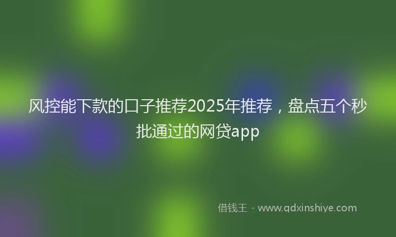 风控能下款的口子推荐2025年推荐，盘点五个秒批通过的网贷app