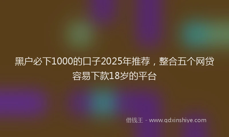 黑户必下1000的口子2025年推荐，整合五个网贷容易下款18岁的平台