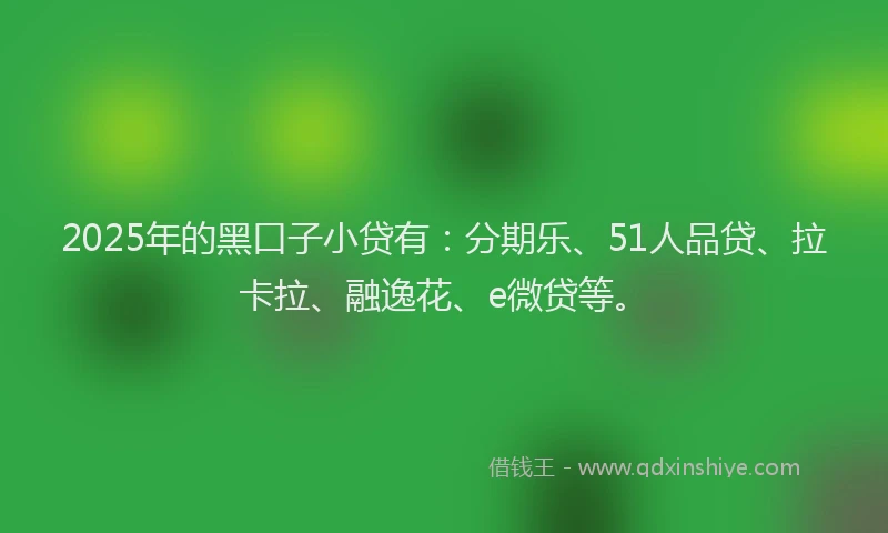 2025年的黑口子小贷有：分期乐、51人品贷、拉卡拉、融逸花、e微贷等。