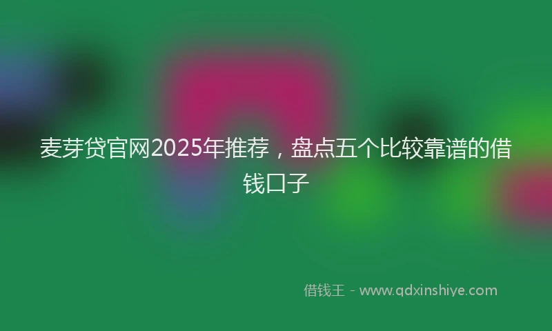 麦芽贷官网2025年推荐，盘点五个比较靠谱的借钱口子