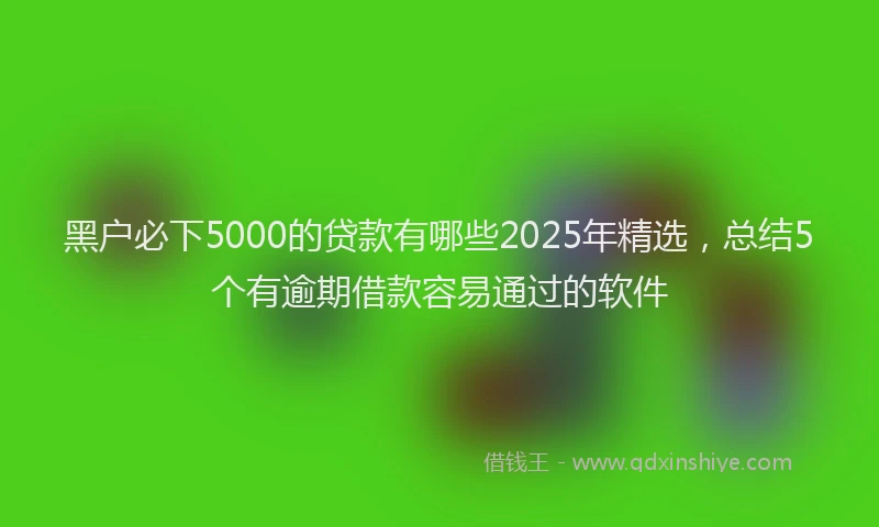 黑户必下5000的贷款有哪些2025年精选，总结5个有逾期借款容易通过的软件