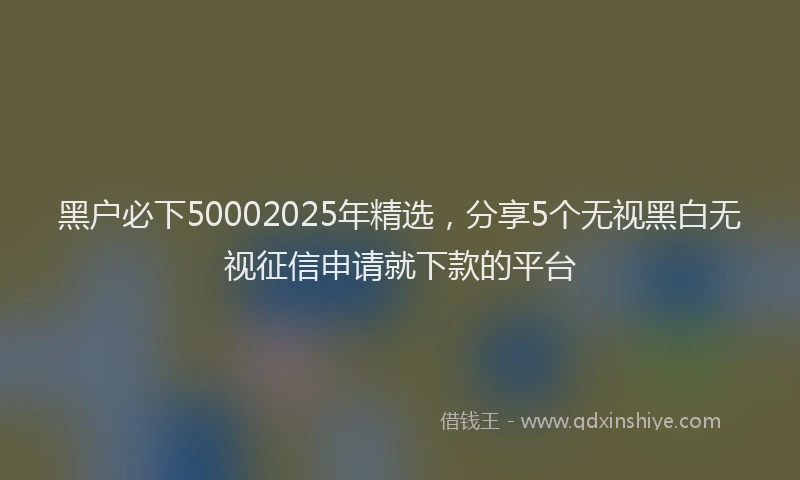 黑户必下50002025年精选，分享5个无视黑白无视征信申请就下款的平台