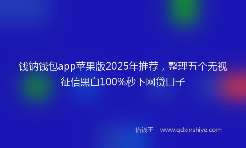 钱钠钱包app苹果版2025年推荐，整理五个无视征信黑白100%秒下网贷口子