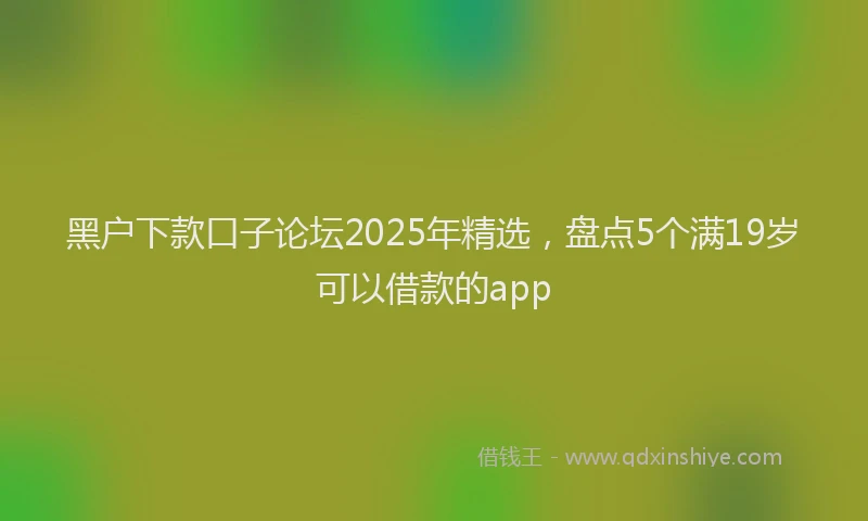 黑户下款口子论坛2025年精选，盘点5个满19岁可以借款的app