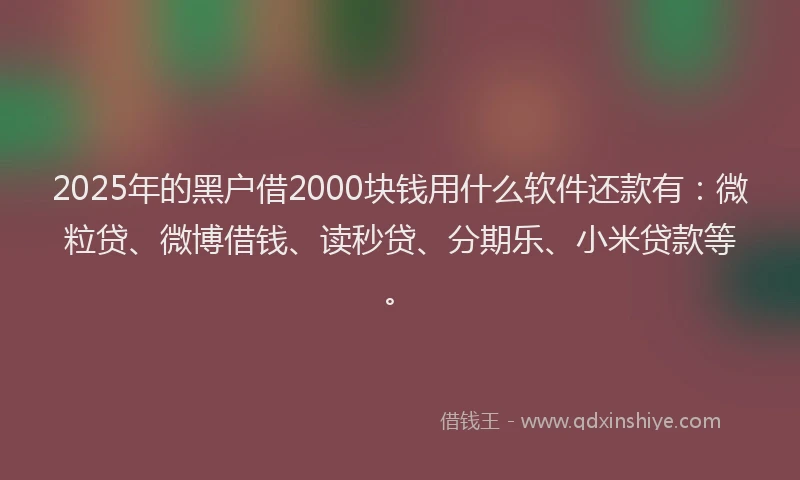 2025年的黑户借2000块钱用什么软件还款有：微粒贷、微博借钱、读秒贷、分期乐、小米贷款等。