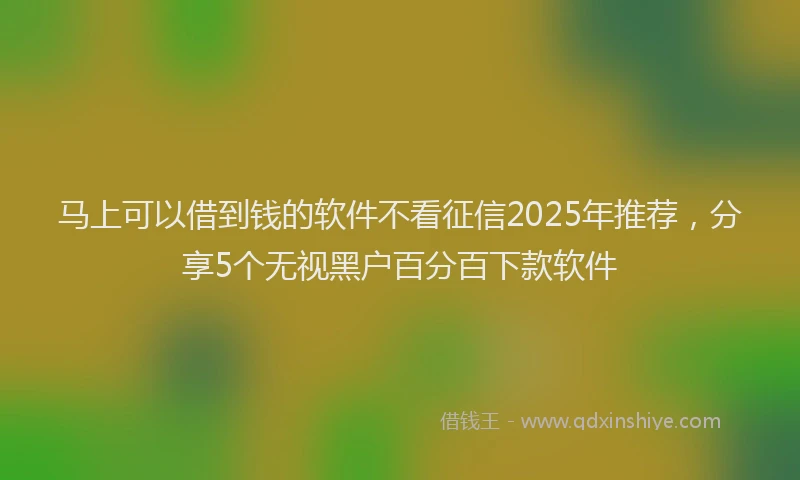 马上可以借到钱的软件不看征信2025年推荐，分享5个无视黑户百分百下款软件