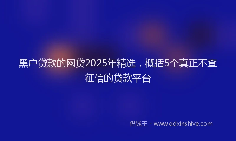 黑户贷款的网贷2025年精选，概括5个真正不查征信的贷款平台