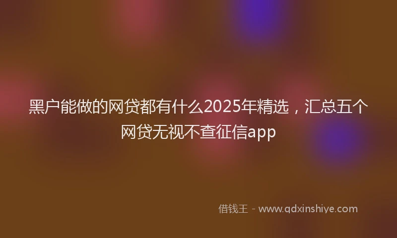 黑户能做的网贷都有什么2025年精选，汇总五个网贷无视不查征信app