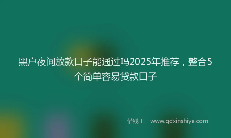 黑户夜间放款口子能通过吗2025年推荐，整合5个简单容易贷款口子