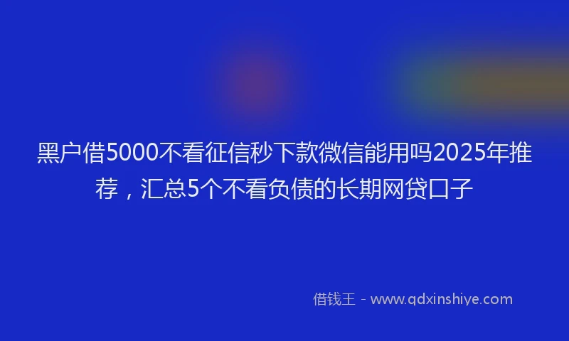 黑户借5000不看征信秒下款微信能用吗2025年推荐，汇总5个不看负债的长期网贷口子