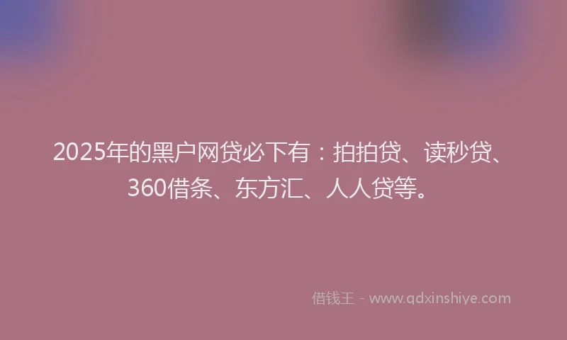 2025年的黑户网贷必下有：拍拍贷、读秒贷、360借条、东方汇、人人贷等。