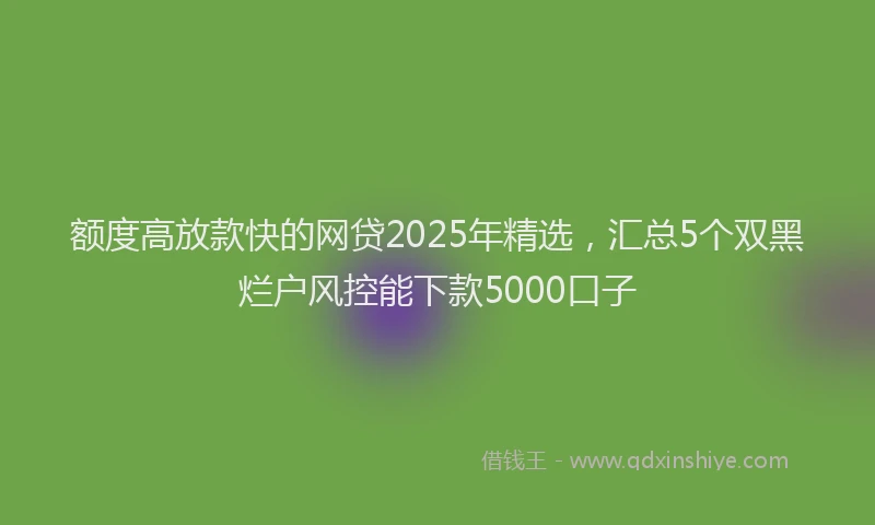 额度高放款快的网贷2025年精选，汇总5个双黑烂户风控能下款5000口子