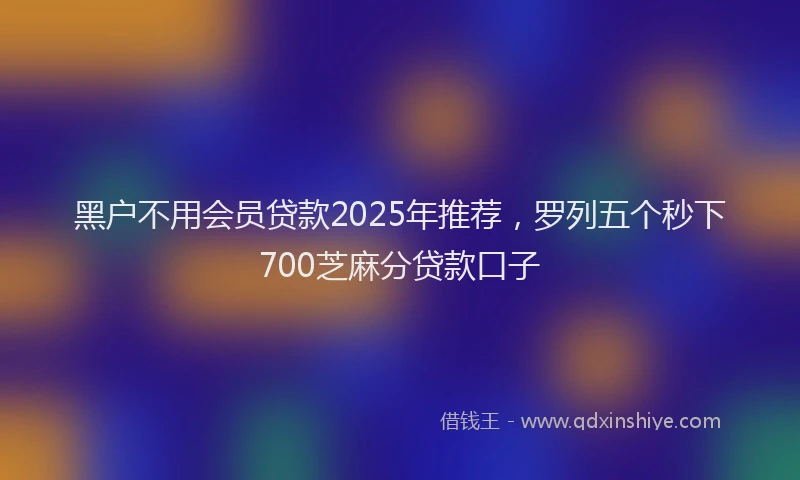 黑户不用会员贷款2025年推荐，罗列五个秒下700芝麻分贷款口子