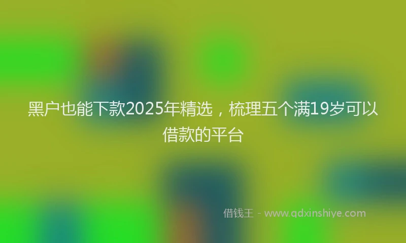 黑户也能下款2025年精选，梳理五个满19岁可以借款的平台