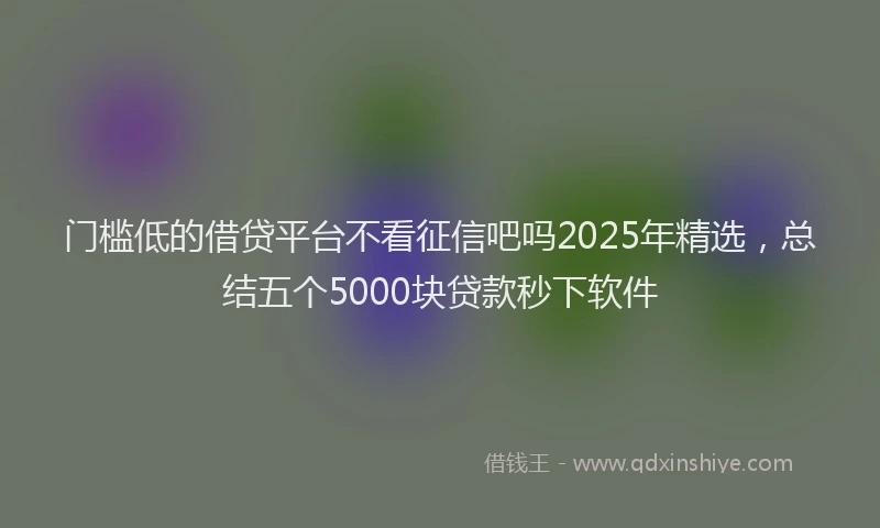 门槛低的借贷平台不看征信吧吗2025年精选，总结五个5000块贷款秒下软件