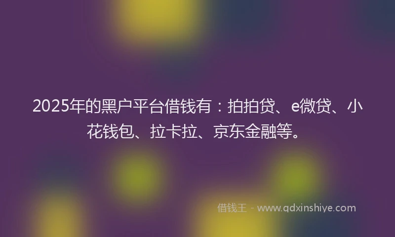 2025年的黑户平台借钱有：拍拍贷、e微贷、小花钱包、拉卡拉、京东金融等。