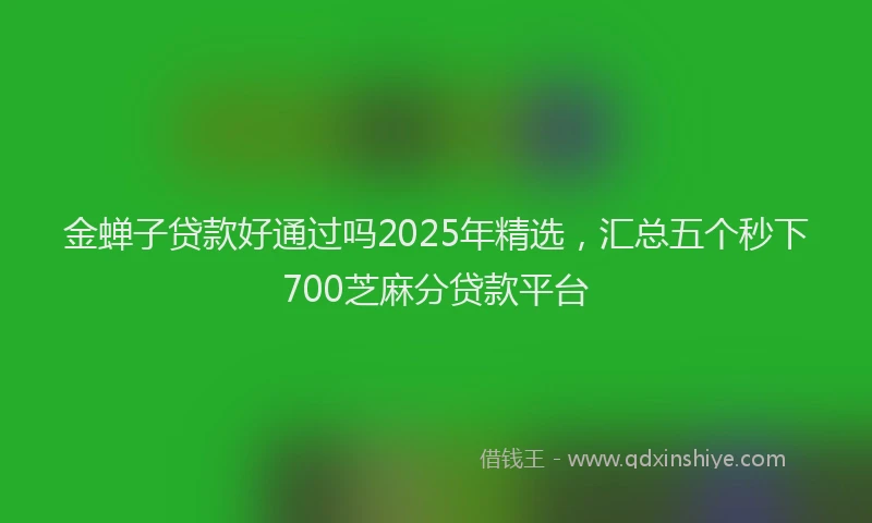 金蝉子贷款好通过吗2025年精选，汇总五个秒下700芝麻分贷款平台