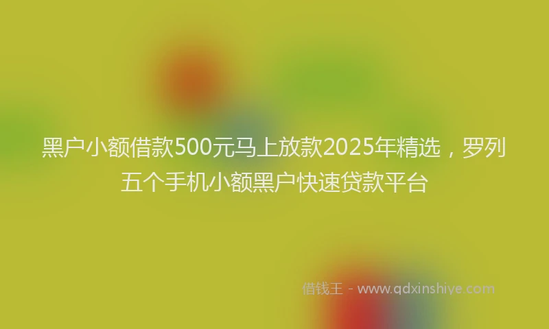 黑户小额借款500元马上放款2025年精选，罗列五个手机小额黑户快速贷款平台