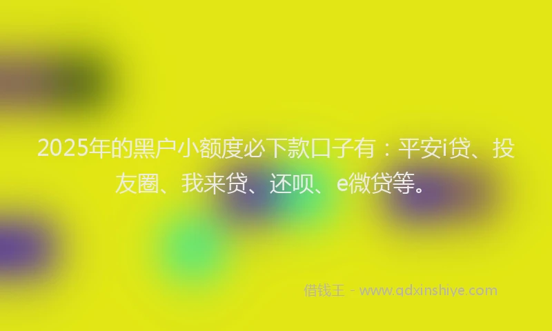 2025年的黑户小额度必下款口子有：平安i贷、投友圈、我来贷、还呗、e微贷等。