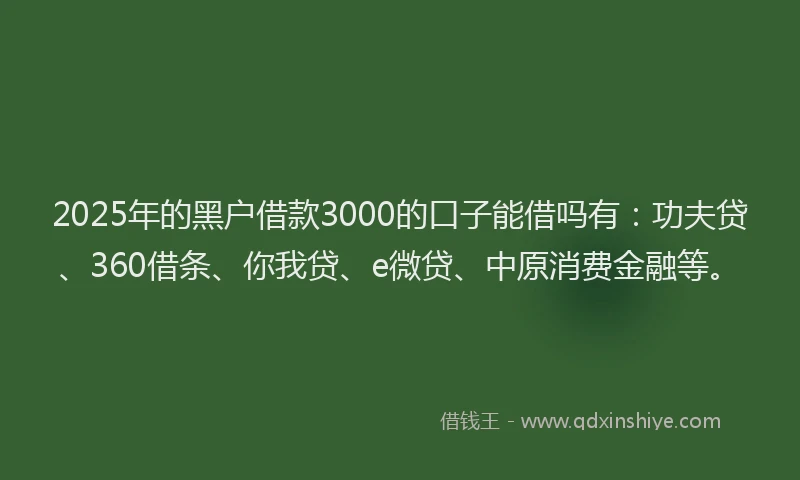 2025年的黑户借款3000的口子能借吗有：功夫贷、360借条、你我贷、e微贷、中原消费金融等。