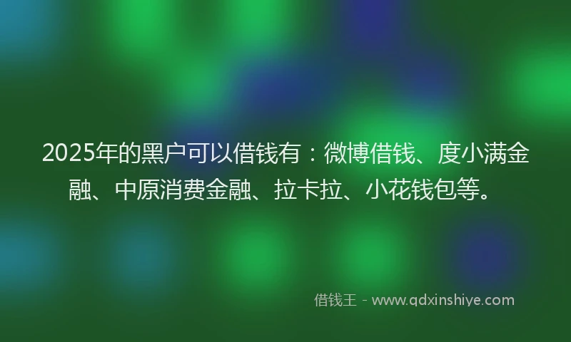 2025年的黑户可以借钱有：微博借钱、度小满金融、中原消费金融、拉卡拉、小花钱包等。