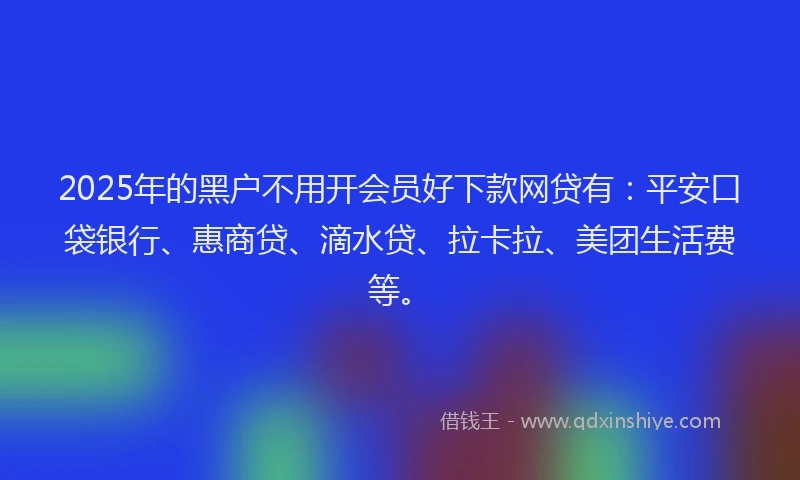 2025年的黑户不用开会员好下款网贷有：平安口袋银行、惠商贷、滴水贷、拉卡拉、美团生活费等。