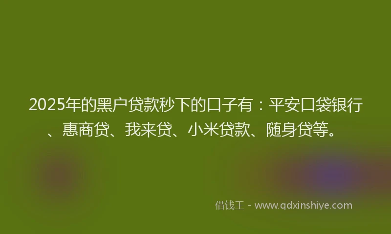 2025年的黑户贷款秒下的口子有：平安口袋银行、惠商贷、我来贷、小米贷款、随身贷等。
