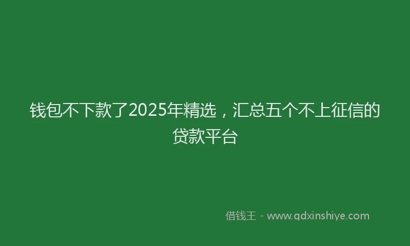 钱包不下款了2025年精选，汇总五个不上征信的贷款平台