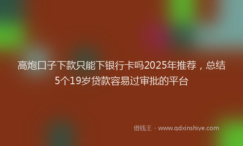 高炮口子下款只能下银行卡吗2025年推荐，总结5个19岁贷款容易过审批的平台