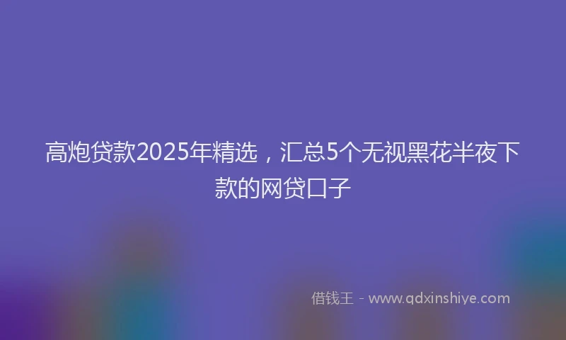 高炮贷款2025年精选，汇总5个无视黑花半夜下款的网贷口子
