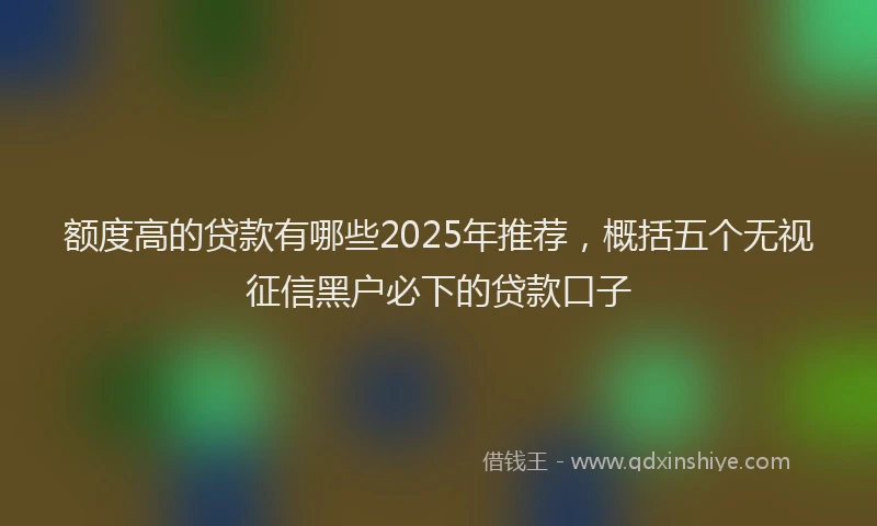 额度高的贷款有哪些2025年推荐，概括五个无视征信黑户必下的贷款口子
