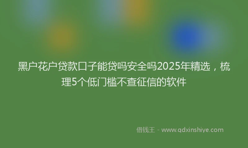 黑户花户贷款口子能贷吗安全吗2025年精选，梳理5个低门槛不查征信的软件