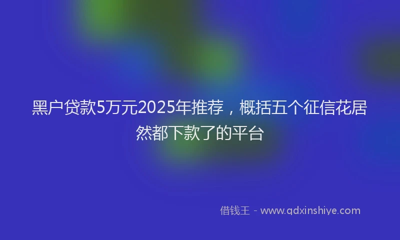 黑户贷款5万元2025年推荐，概括五个征信花居然都下款了的平台