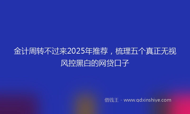 金计周转不过来2025年推荐，梳理五个真正无视风控黑白的网贷口子