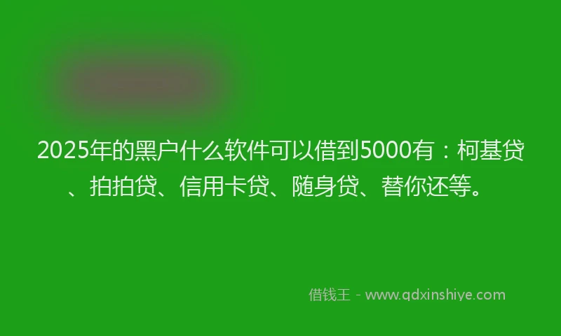 2025年的黑户什么软件可以借到5000有：柯基贷、拍拍贷、信用卡贷、随身贷、替你还等。