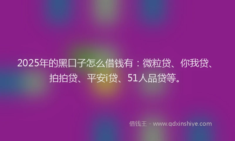 2025年的黑口子怎么借钱有：微粒贷、你我贷、拍拍贷、平安i贷、51人品贷等。